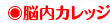 脳内カレッジ