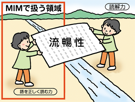 MIMで扱う領域「読解力」「語を正しく読む力」　流暢性