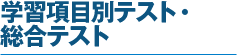 学習項目別テスト・総合テスト