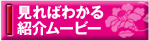 見ればわかる 紹介ムービー