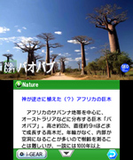 記事（自然１）