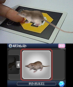 i-GEAR（ARフォレスト2）