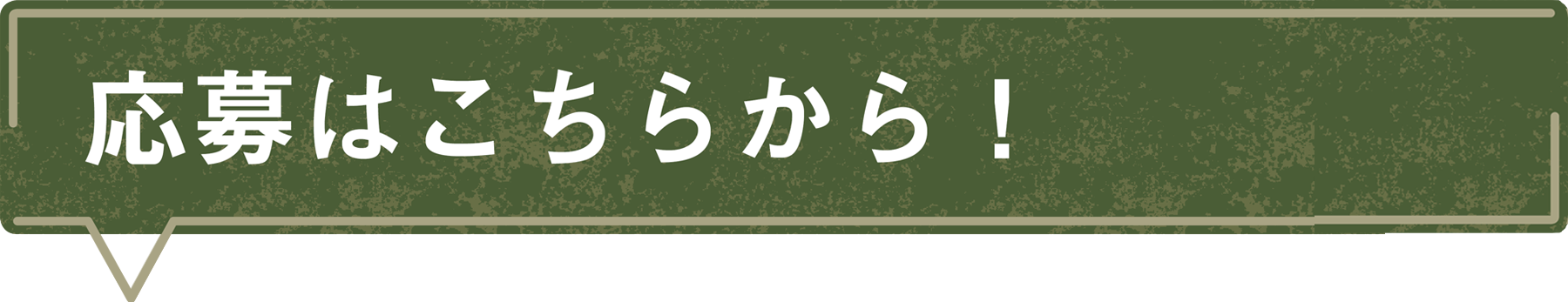 応募はこちらから！