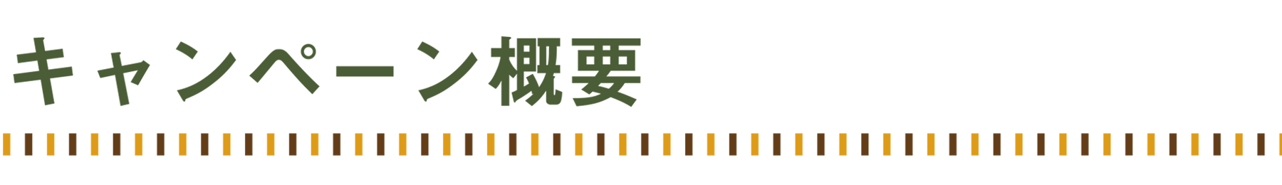 キャンペーン概要