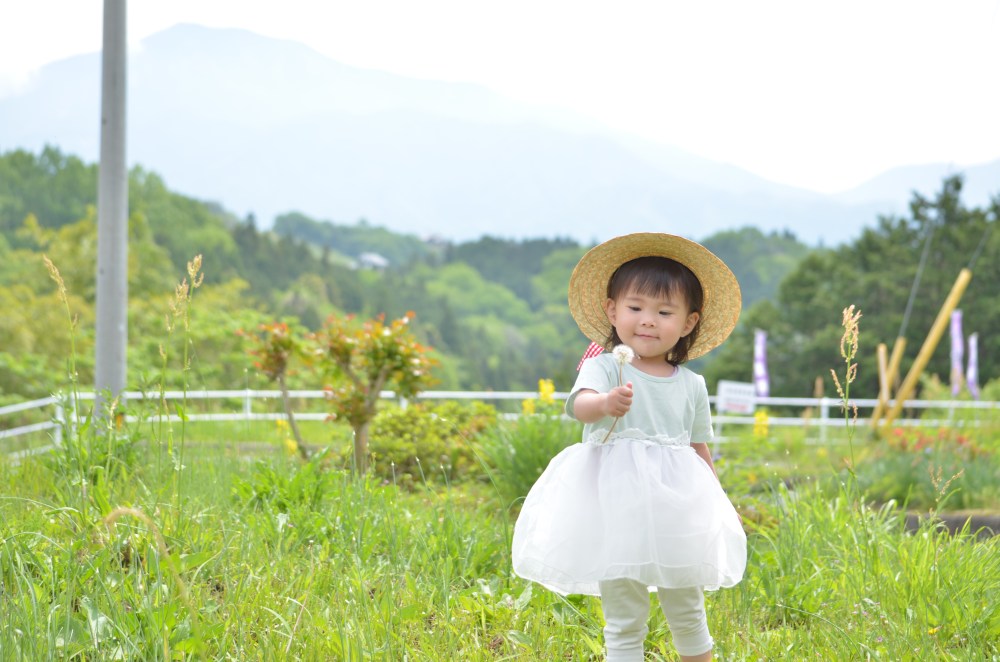 【あした、親子で読みたい本】季節を感じる　草花に関する本　3選