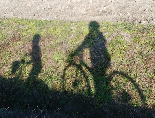 親子で自転車