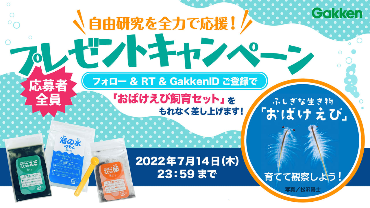 自由研究を全力で応援！プレゼントキャンペーン　ふしぎな生き物「おばけえび」を育てて観察しよう！