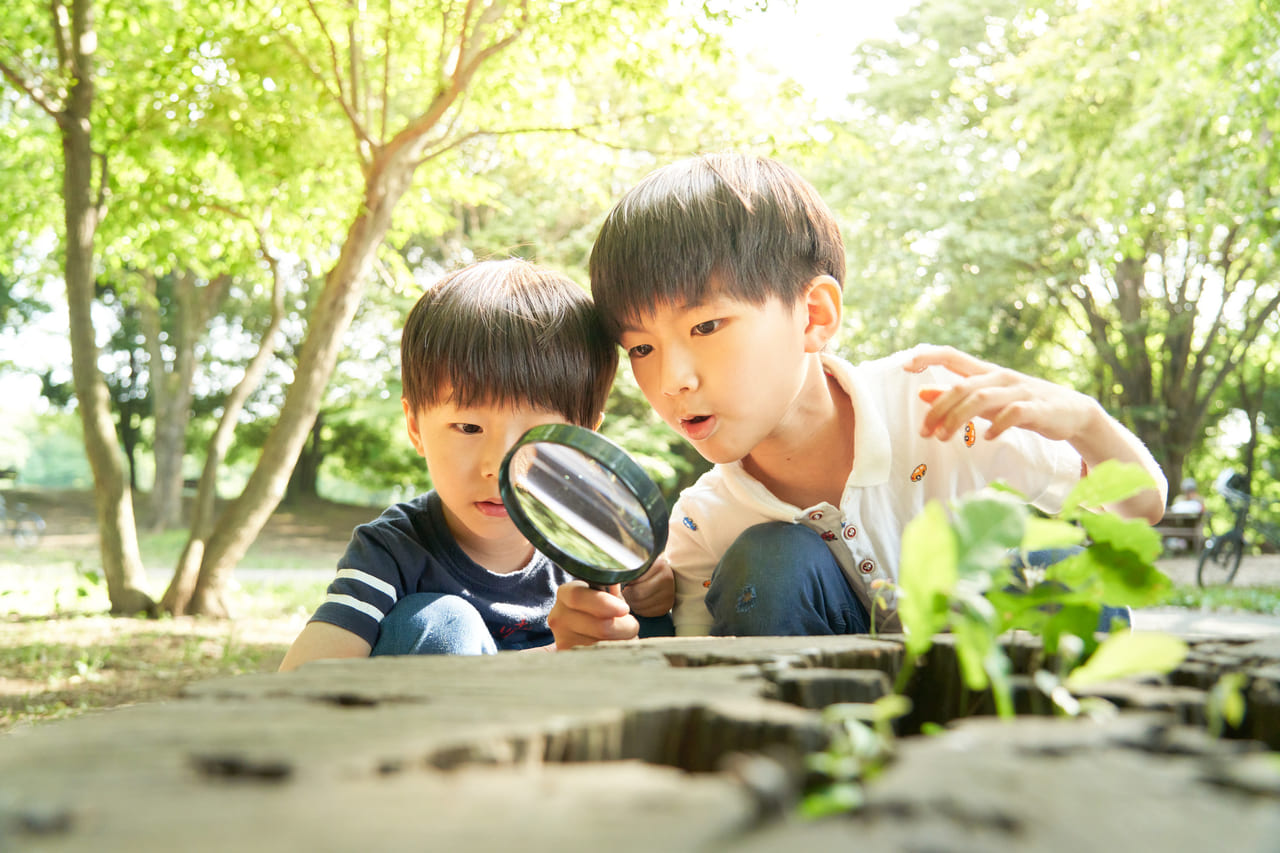 【学年別】おもしろい自由研究15選！　小学生向けのテーマやまとめ方