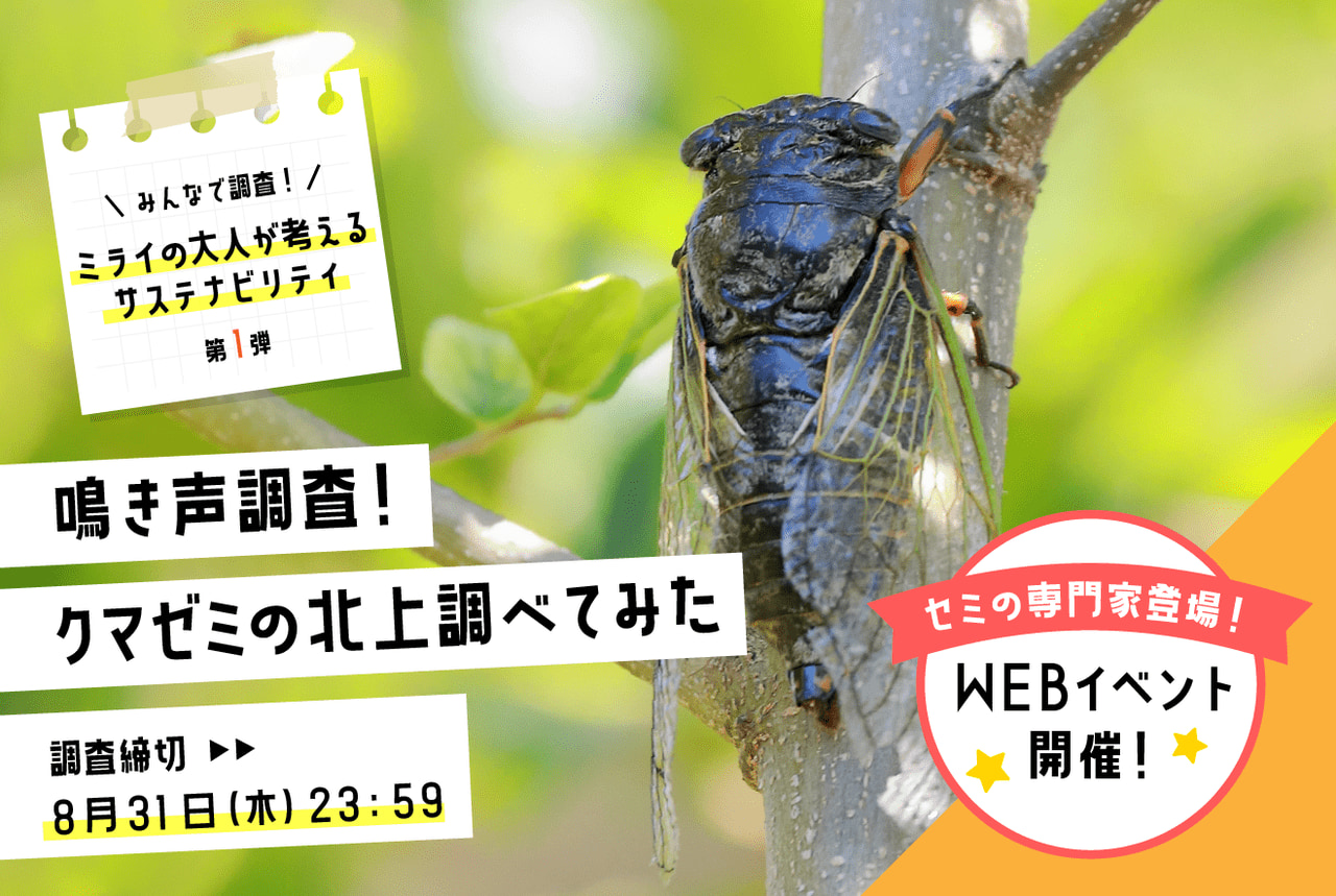 みんなで調査！　クマゼミの北上調べてみよう～セミ調査とセミ会議のご案内～