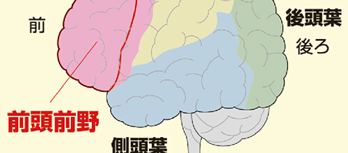 認知症予防プログラムの開発と実践