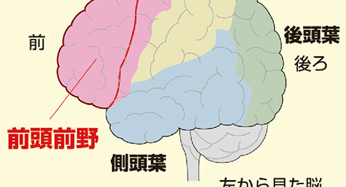 認知症予防プログラムの開発と実践