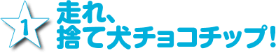 1.走れ、捨て犬チョコチップ！