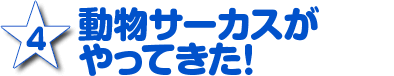 4.動物サーカスがやってきた！