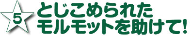 5.とじこめられたモルモットを助けて！