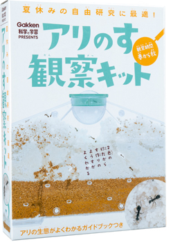 夏休みの自由研究に最適！ アリのす観察キット