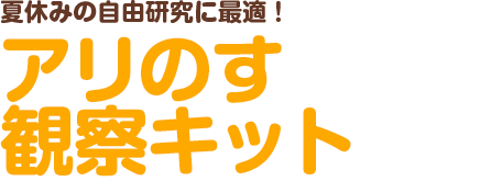 夏休みの自由研究に最適！ アリのす観察キット