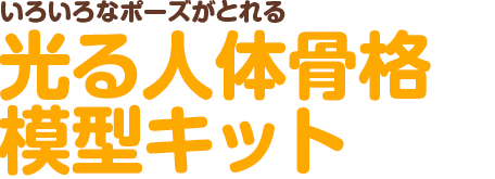 いろいろなポーズがとれる 光る人体骨格模型キット