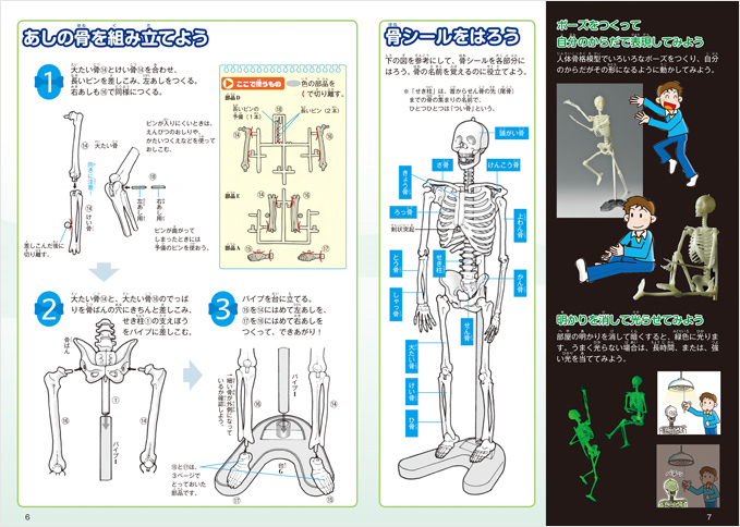 骨の名前もばっちりわかる！