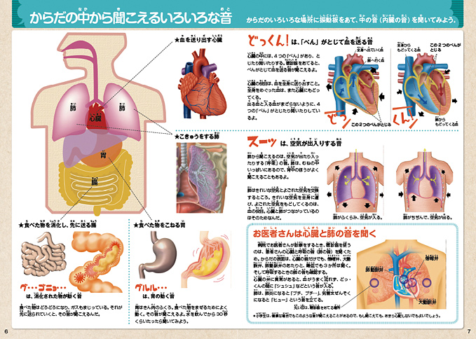 からだの中の音も紹介！