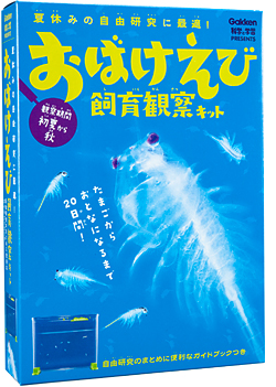 夏休みの自由研究に最適！おばけえび飼育観察キット