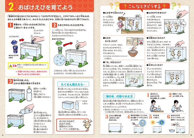 おばけえびの育て方をしっかり紹介！