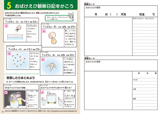 観察カードつきで、自由研究にも！