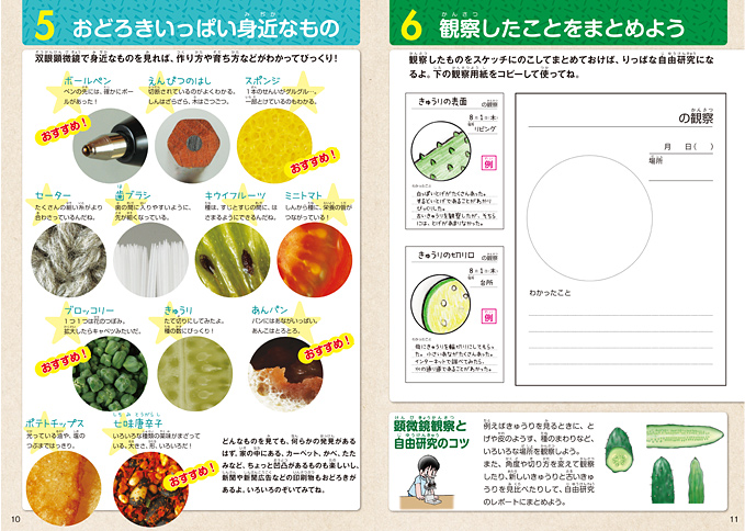 自由研究のまとめ方も紹介