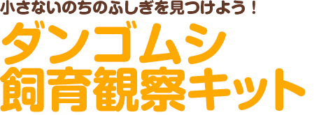 小さないのちのふしぎを見つけよう！ダンゴムシ飼育観察キット