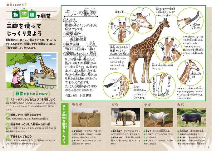 観察結果をまとめて、自由研究にも！