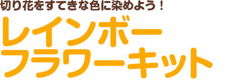 切り花をすてきな色に染めよう！ レインボーフラワーキット