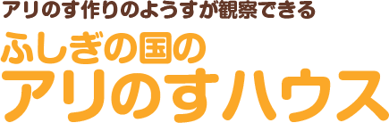 アリのす作りのようすが観察できるふしぎの国のアリのすハウス