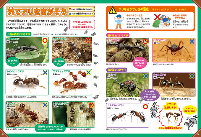 ふしぎの国のアリのすハウス 学研サイエンスキッズ