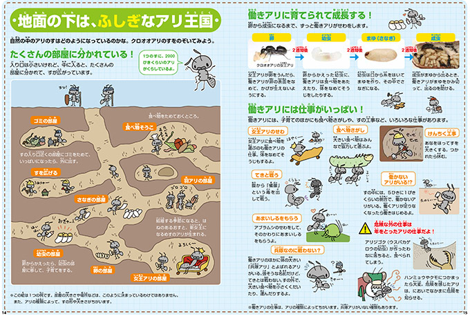 地面の下は、ふしぎなアリ王国