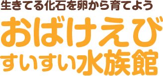 生きてる化石を卵から育てよう おばけえび　すいすい水族館