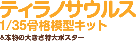 ティラノサウルス1/35骨格模型キット&本物の大きさ特大ポスター