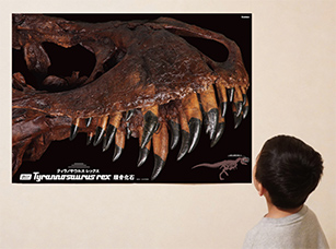 ティラノサウルス1/35骨格模型キット｜学研サイエンスキッズ