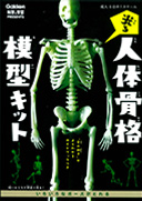 光る人体骨格模型キット