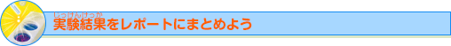 実験結果をレポートにまとめよう