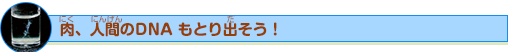 肉、人間のDNAもとり出そう！