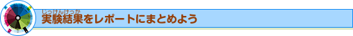 実験結果をレポートにまとめよう