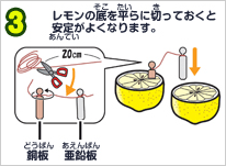 レモンの底を平らに切っておくと安定がよくなります