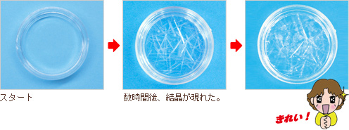 結晶ができるようす