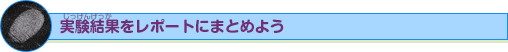 実験結果をレポートにまとめてみよう