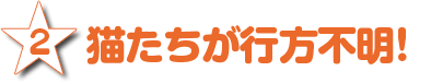 2.猫たちが行方不明!